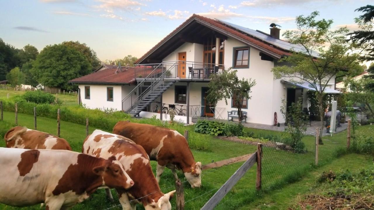 Exclusiv - Ferienwohnung Hinterreiter Ainring Exteriör bild